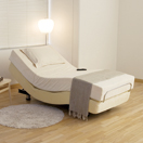 Zero-G 400 フレーム